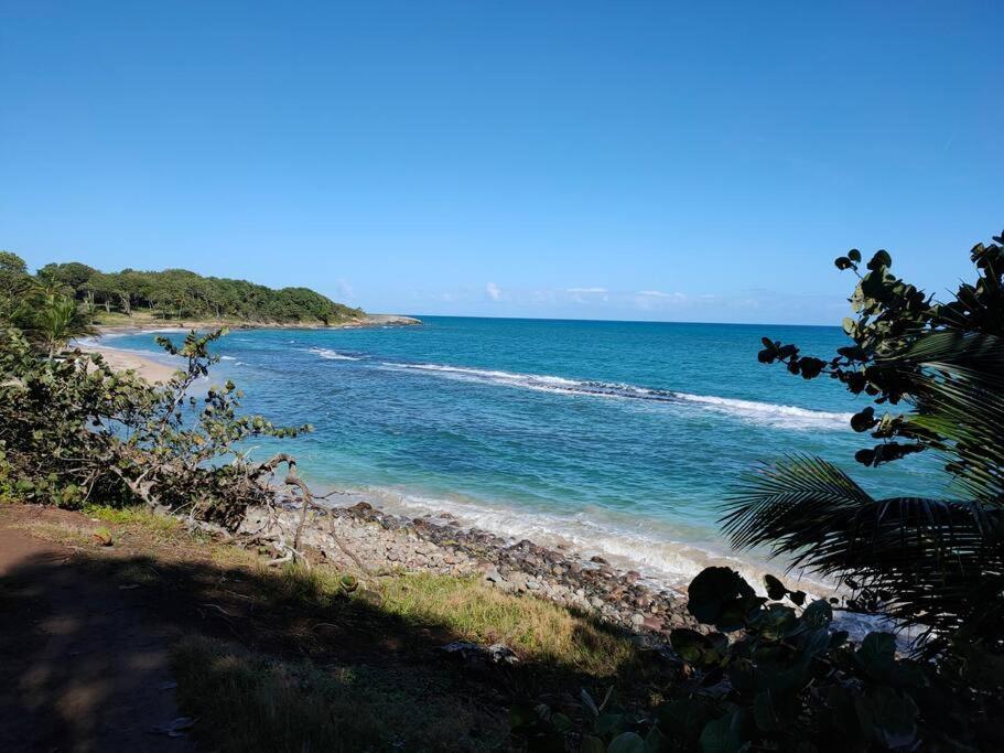 Haut de villa avec vue sur la mer Sainte-Rose Extérieur photo