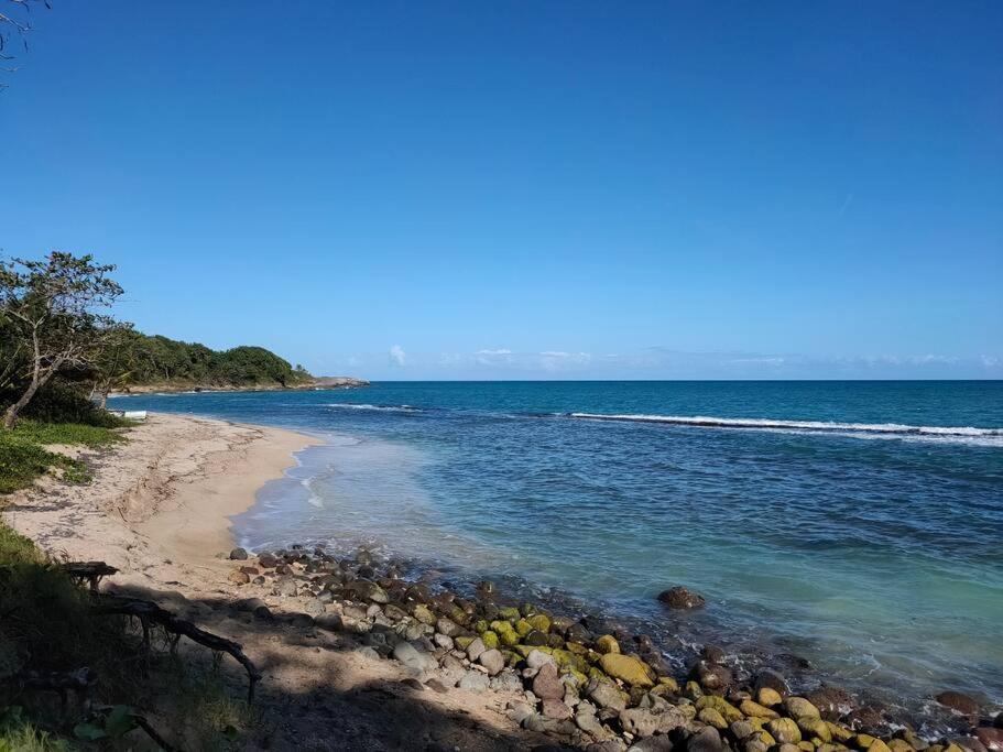 Haut de villa avec vue sur la mer Sainte-Rose Extérieur photo
