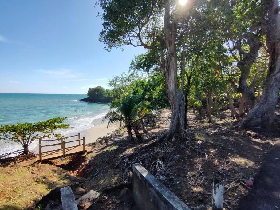Haut de villa avec vue sur la mer Sainte-Rose Extérieur photo