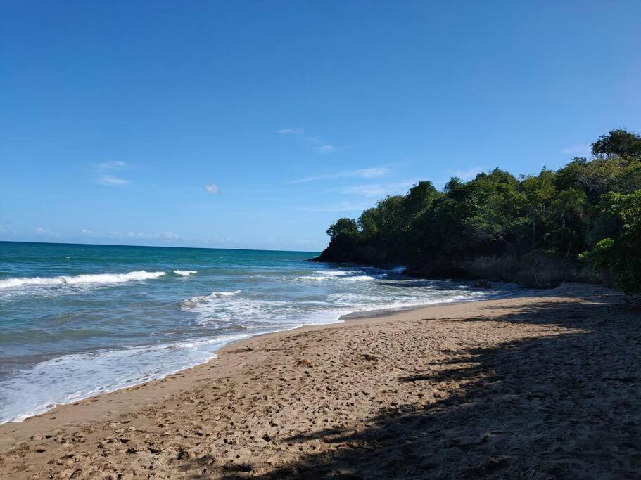 Haut de villa avec vue sur la mer Sainte-Rose Extérieur photo